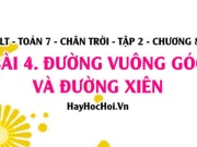 Đường vuông góc và đường xiên, quan hệ giữa cạnh và góc trong tam giác? Toán 7 chân trời tập 2 chương 8 bài 4